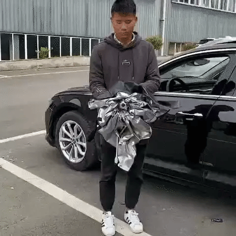 Parasol Mágico para Autos
